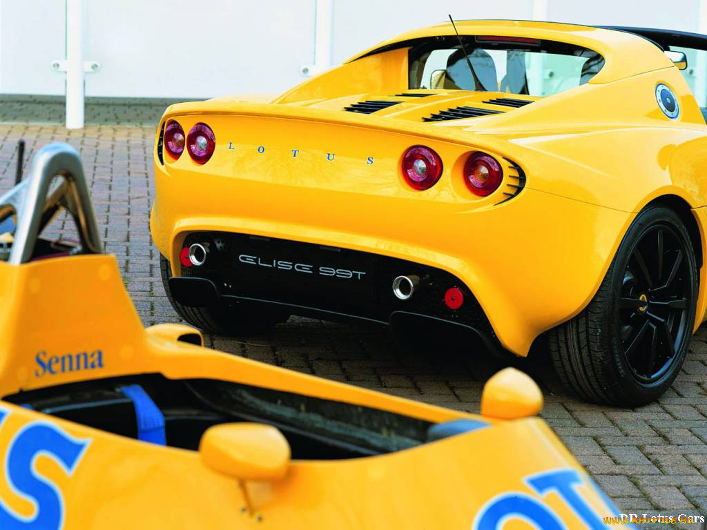 , lotus
